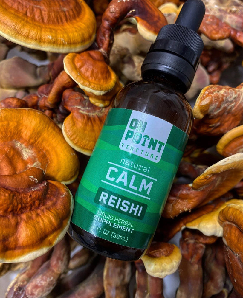 ON POINT | 3900mg Reishi | Calming Tincture