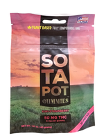 SOTAPOT Kiwi Strawberry Gummies 50mg THC