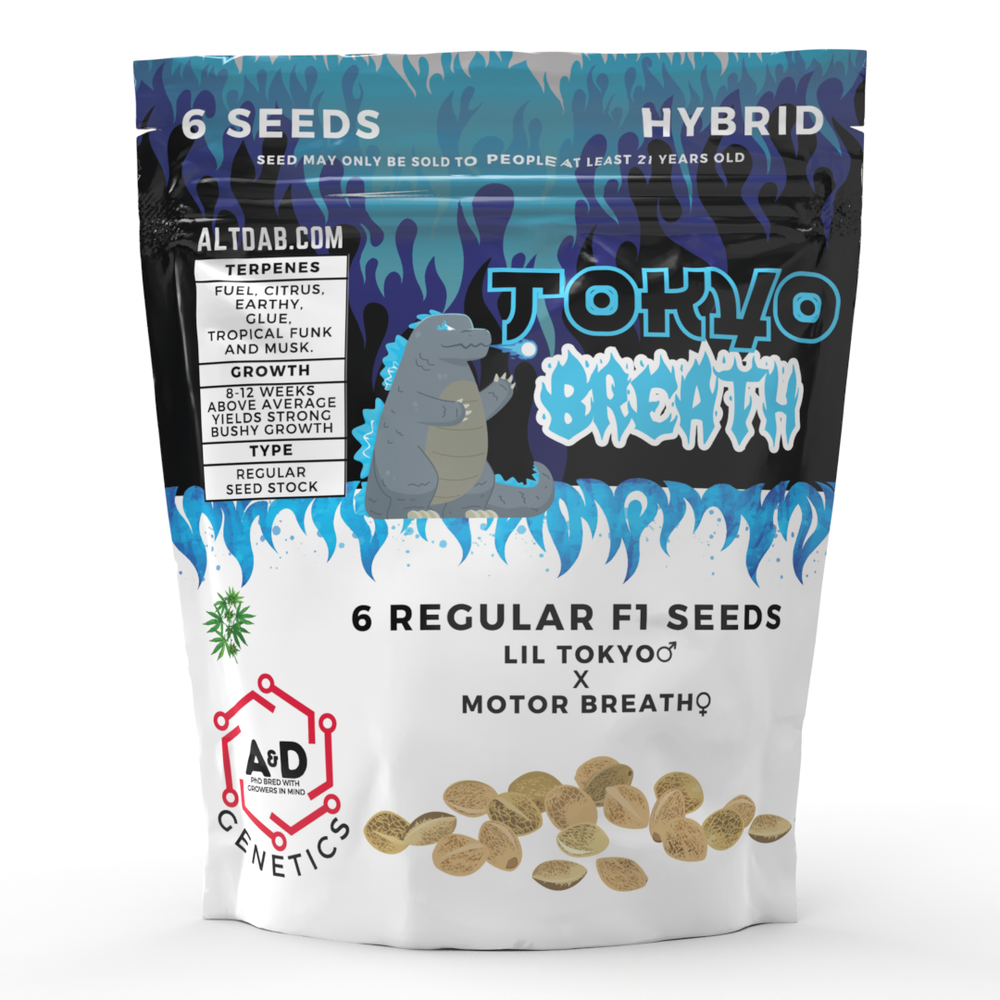 Tokyo Breath | 6 Regular Cannabis Seeds | MN Grown!